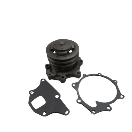 BOMBA AGUA FORD - 87800109