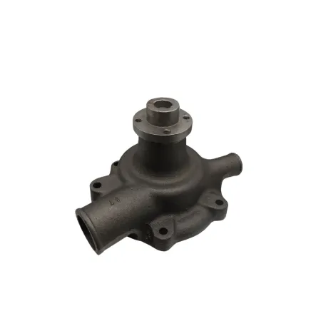 BOMBA AGUA MWM D229 TURBO - 7000104001