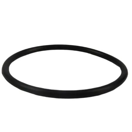 ANEL BOMBA HIDROSTATICA - Z53119