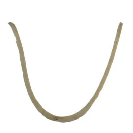 ANEL FELTRO VARIADOR - Z33444