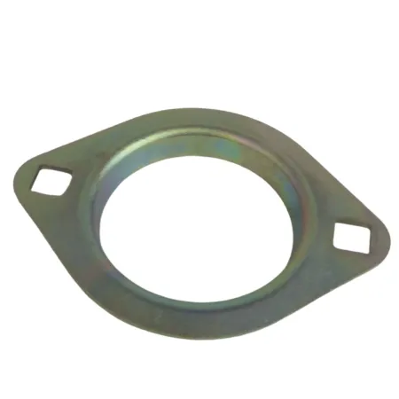 FLANGE OVAL GE25 - DQ15129