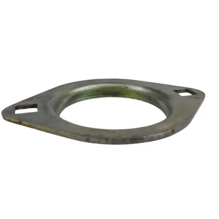FLANGE OVAL GE25 - DQ15129