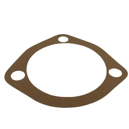 JUNTA CAMBIO 0,20MM - P49116H