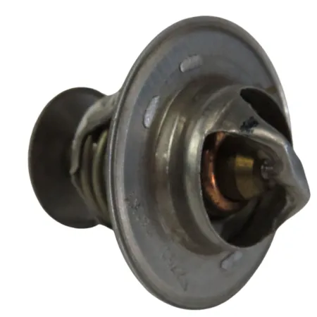 VALVULA TERMOSTATICA - R517011